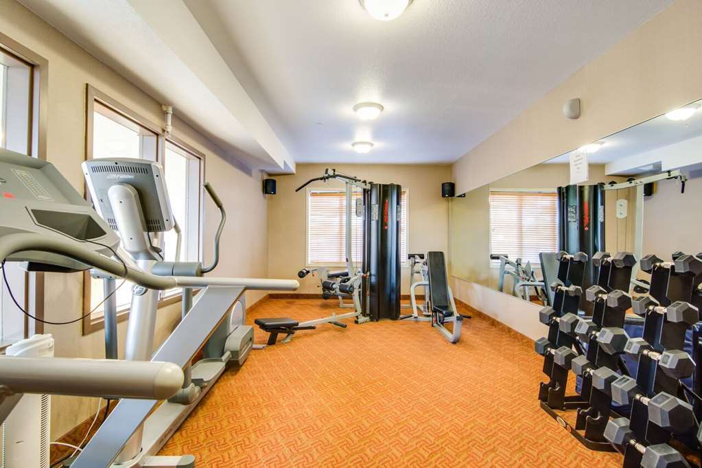 Peavine Inn & Suites High Prairie Удобства фото